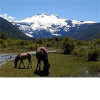Cerro Tronador Day Trip from Bariloche
