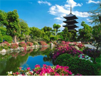 Kyoto Afternoon Tour - Heian Shrine, Sanjusangendo, Kiyomizu Temple