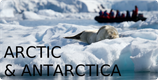 Arctic and Antarctica