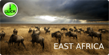 Safaris in Eastern Africa