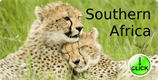 Safaris in Southern Africa
