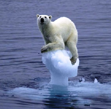 Polar Bear
