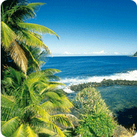 reunion island Etcetera